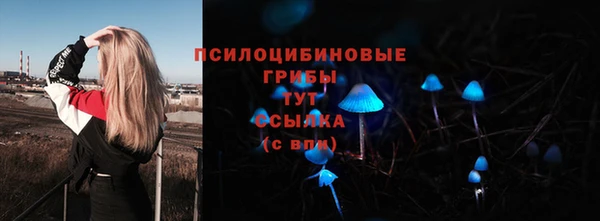 винт Алексеевка