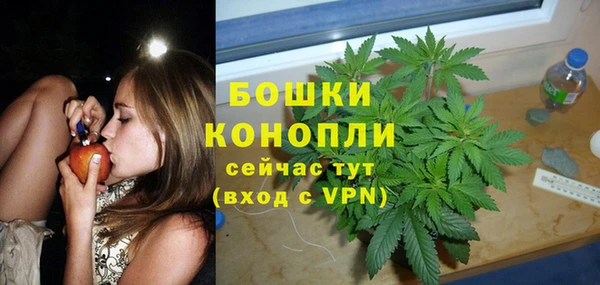 spice Алексин