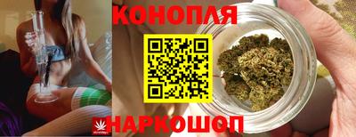 ГАЛЛЮЦИНОГЕННЫЕ ГРИБЫ Волжский