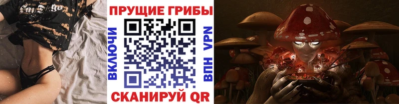 Галлюциногенные грибы Psilocybine cubensis Коркино